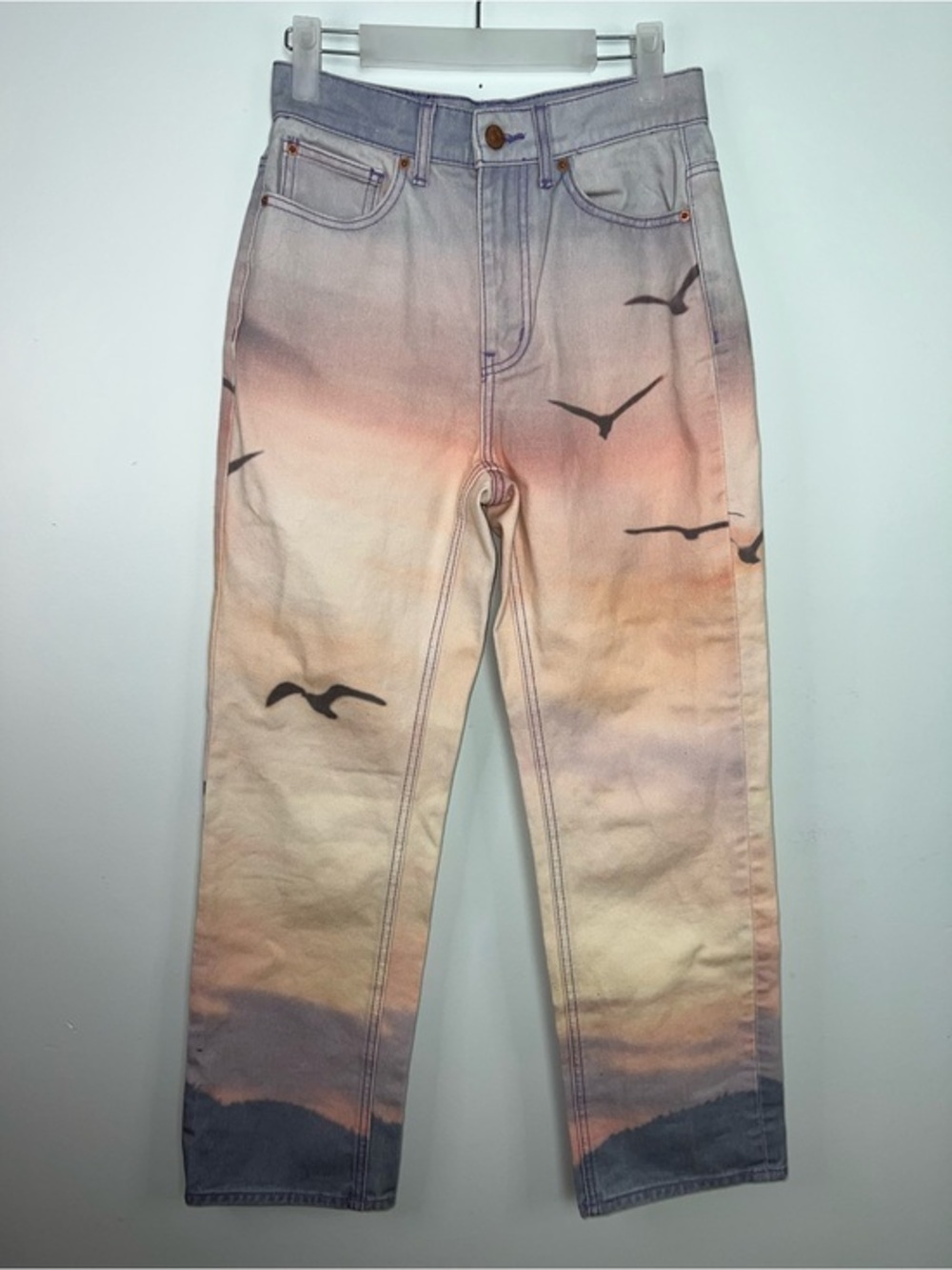 BDG Urban Outfitters Cowboy Jean Sunset Bird Print Size 26